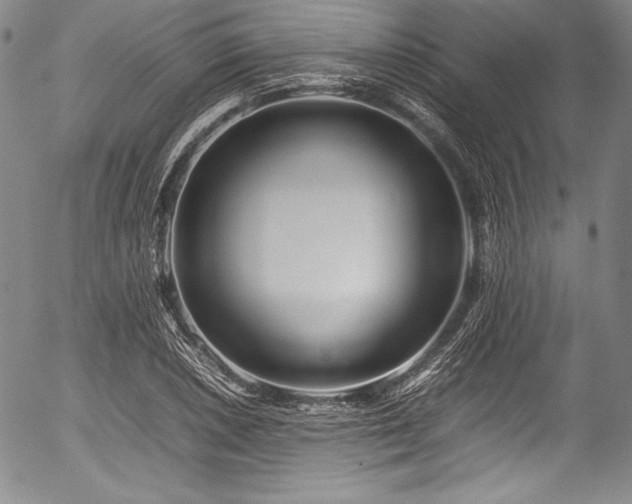 X0000054411026200508011316