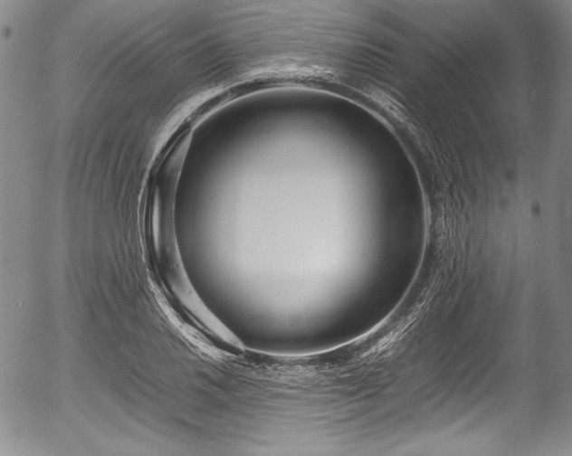 X0000054411030200508011316