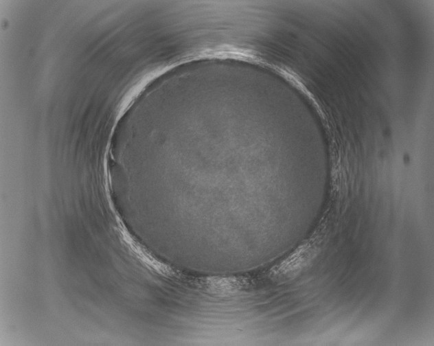 X0000054411032200508011316