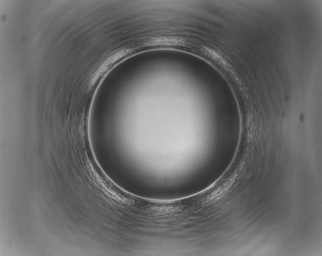 X0000054411033200508011316