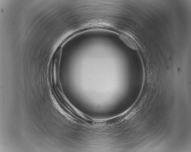 X0000054411038200508011317