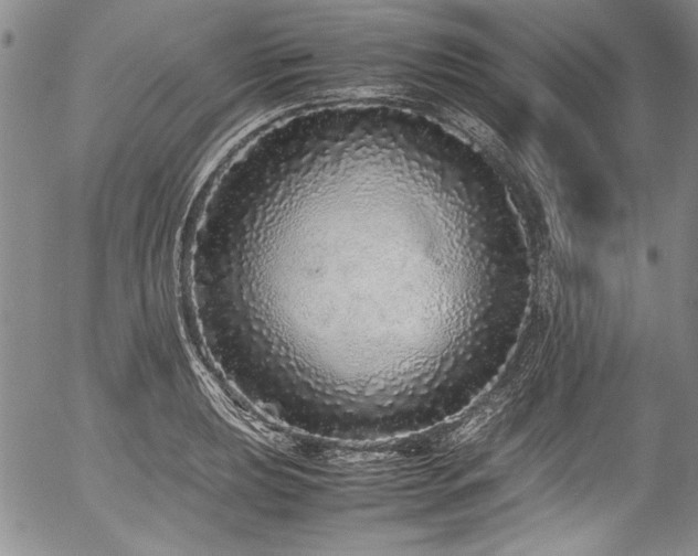 X0000054411039200508011317