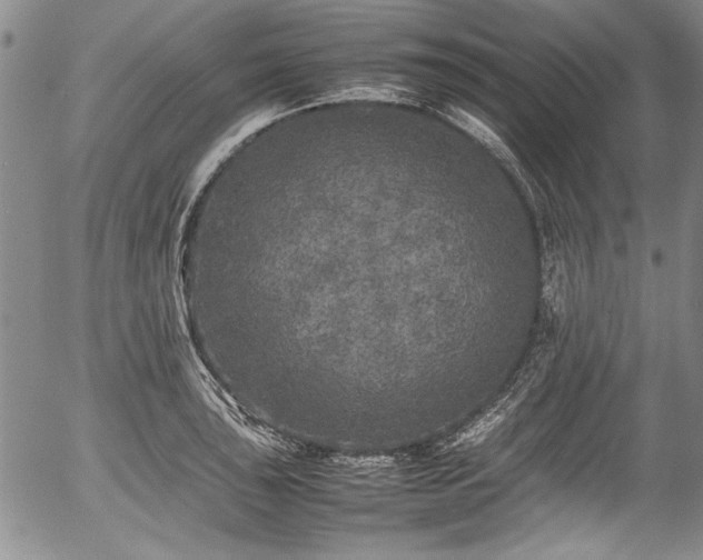 X0000054411043200508011317