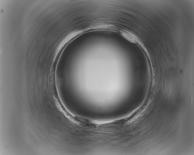 X0000054411053200508011317