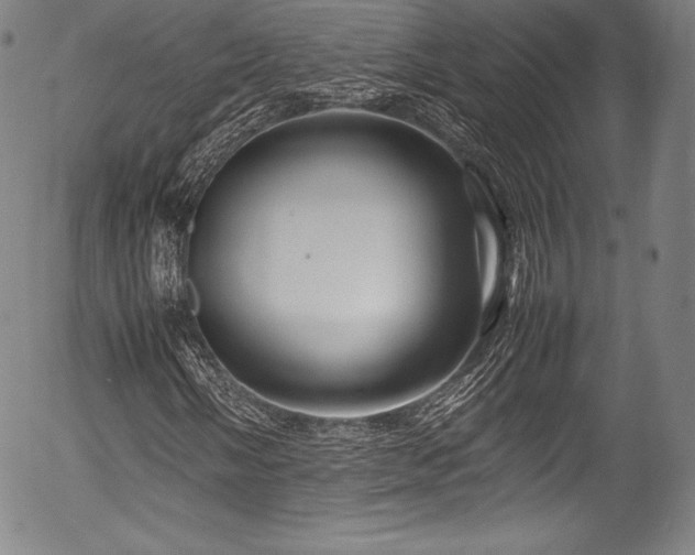 X0000054411058200508011316