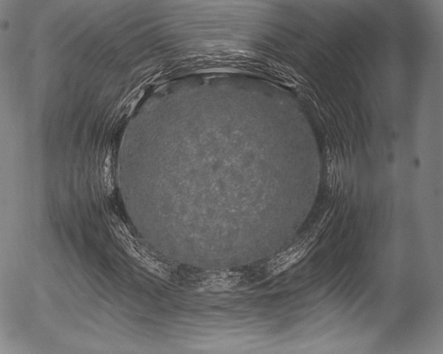 X0000054411060200508011316