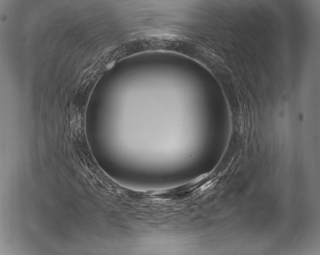X0000054411061200508011316