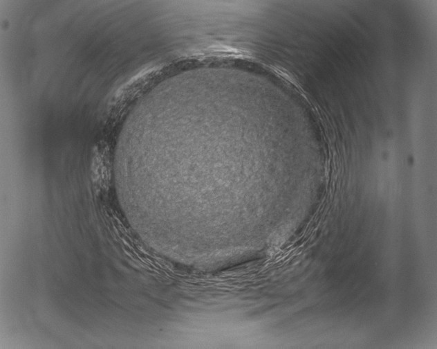 X0000054411063200508011316