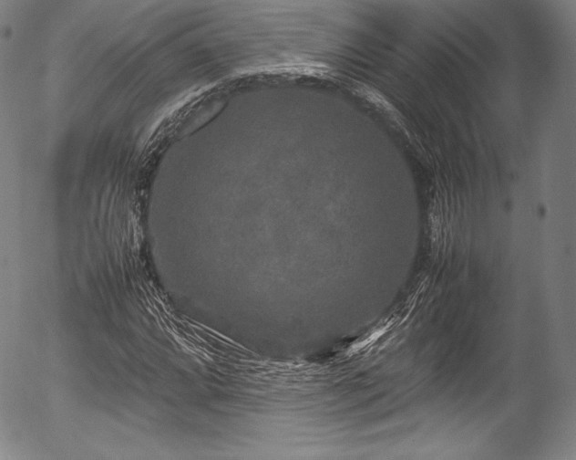X0000054411064200508011316