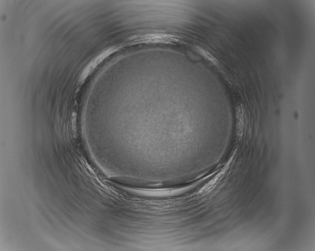 X0000054411066200508011316