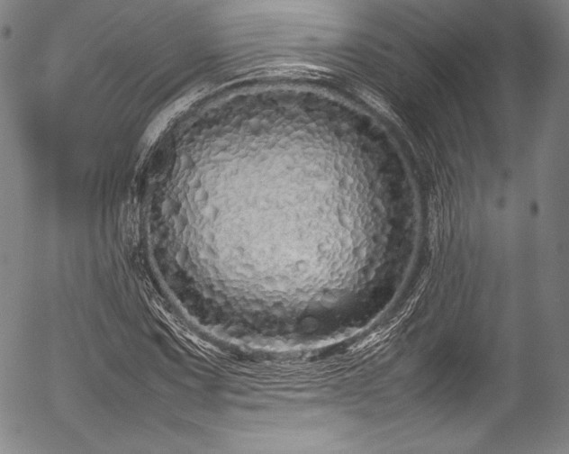 X0000054411067200508011316