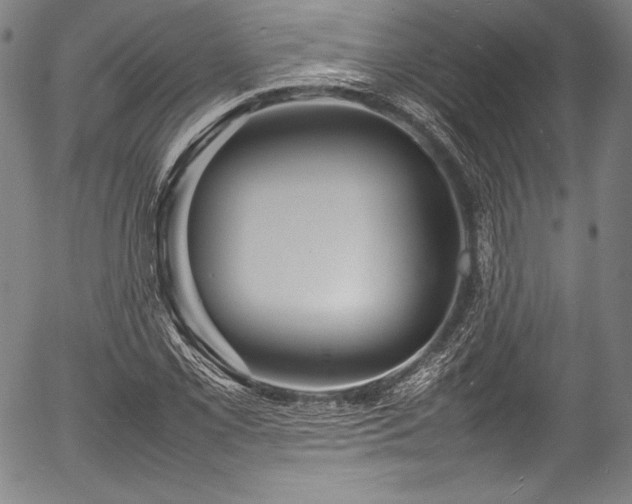 X0000054411069200508011316