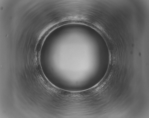 X0000054411070200508011316