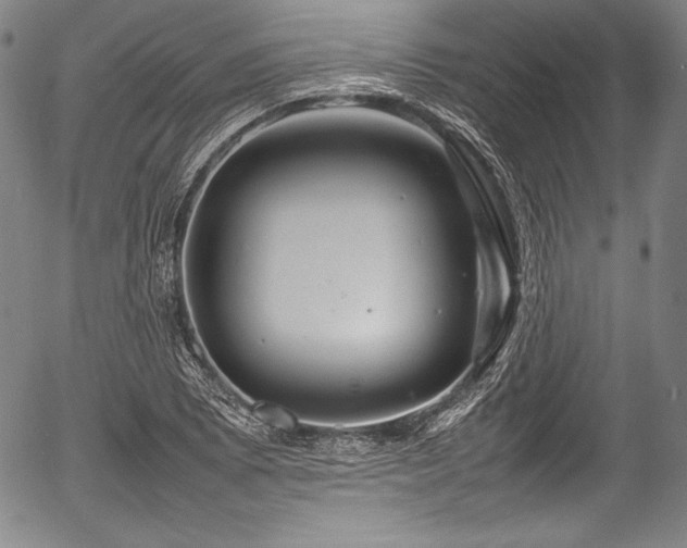 X0000054411073200508011316