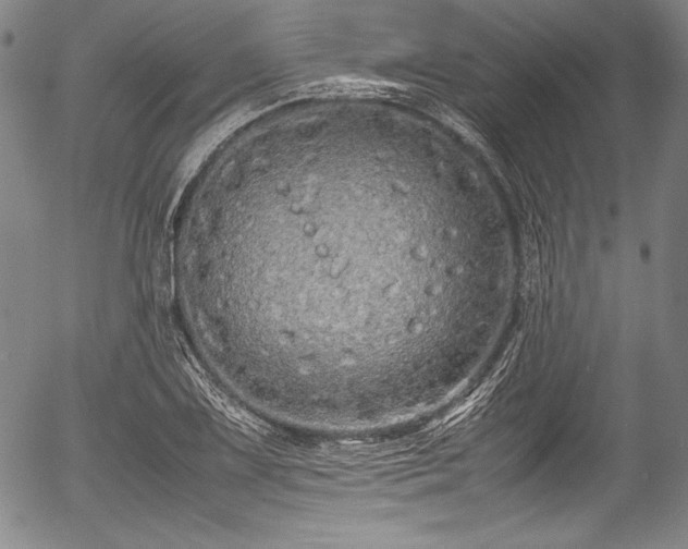 X0000054411075200508011316