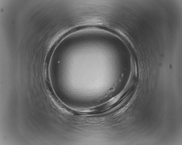 X0000054411077200508011316