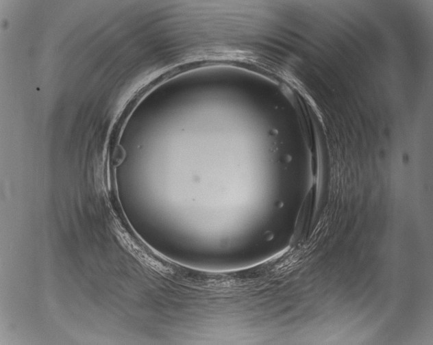 X0000054411080200508011316