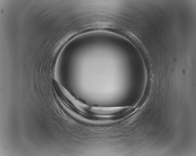 X0000054411081200508011316