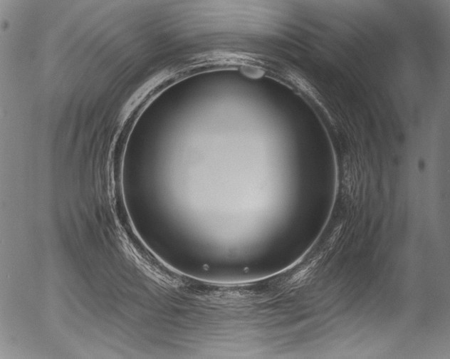 X0000054411082200508011316