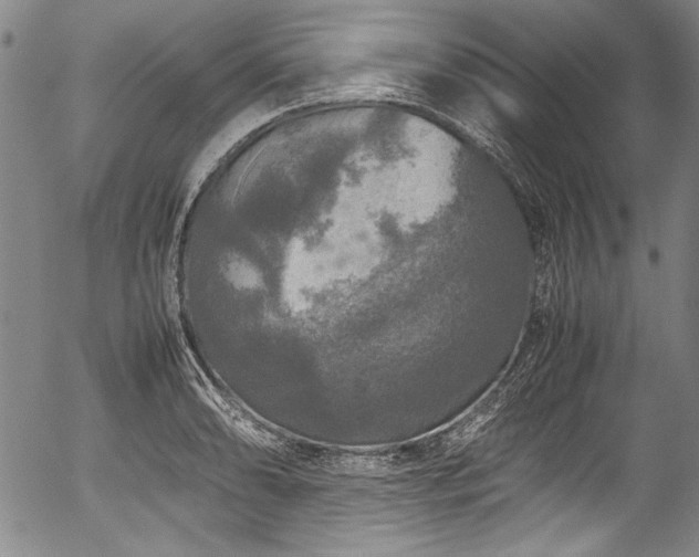 X0000054411086200508011316