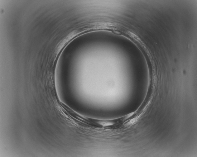 X0000054411089200508011315