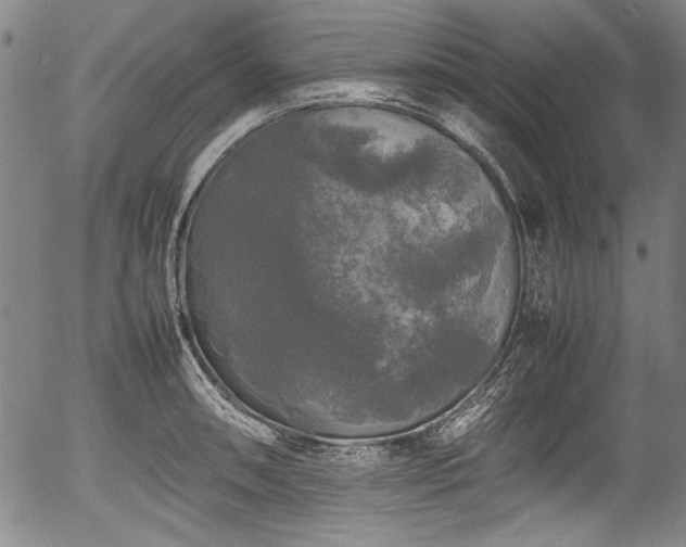 X0000054411090200508011315