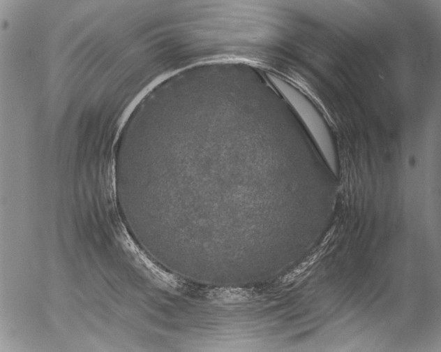 X0000054411092200508011315