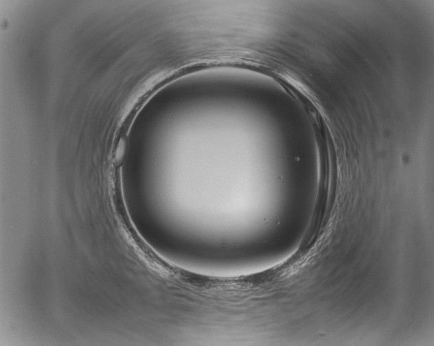 X0000054411093200508011315