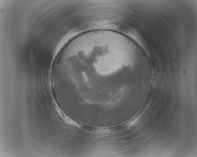 X0000054411094200508011315