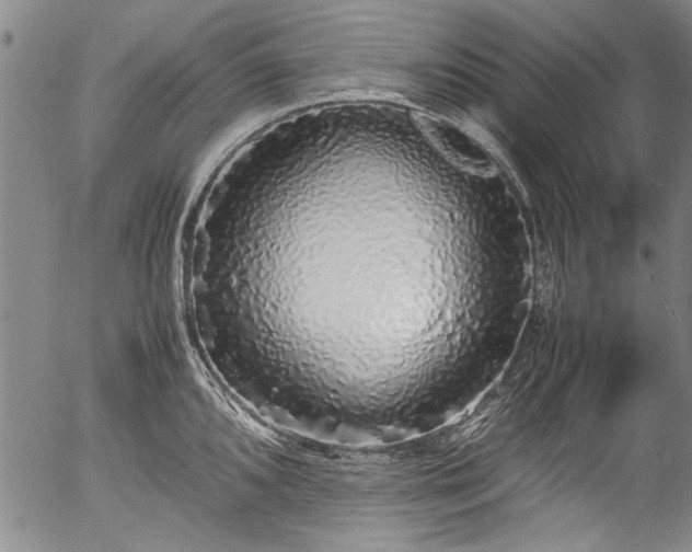 X0000054411096200508011315