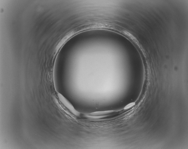 X0000054411097200508011315