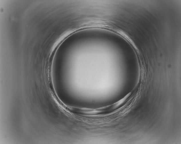X0000054411101200508011315