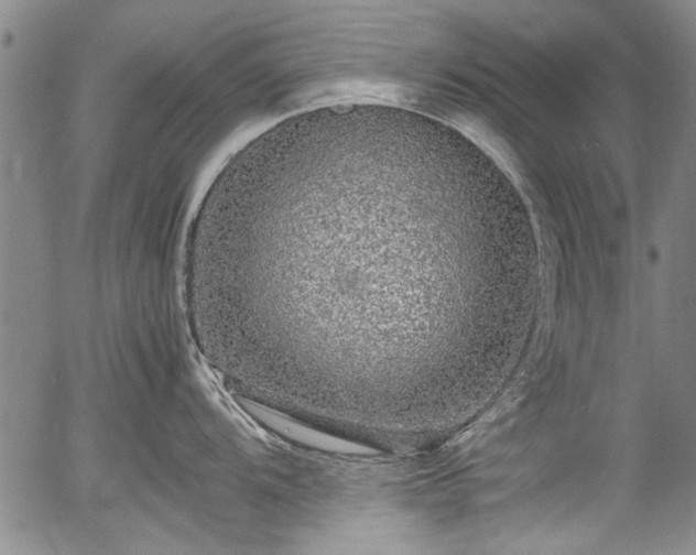 X0000054411104200508011315