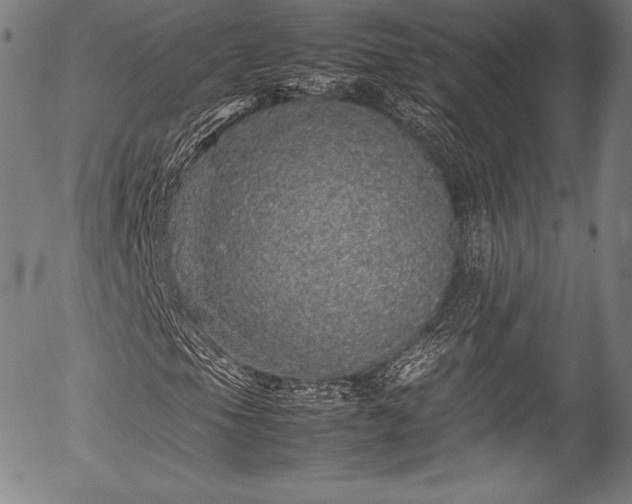 X0000054411105200508011314