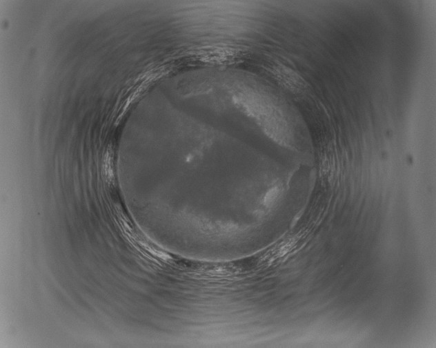 X0000054411106200508011314