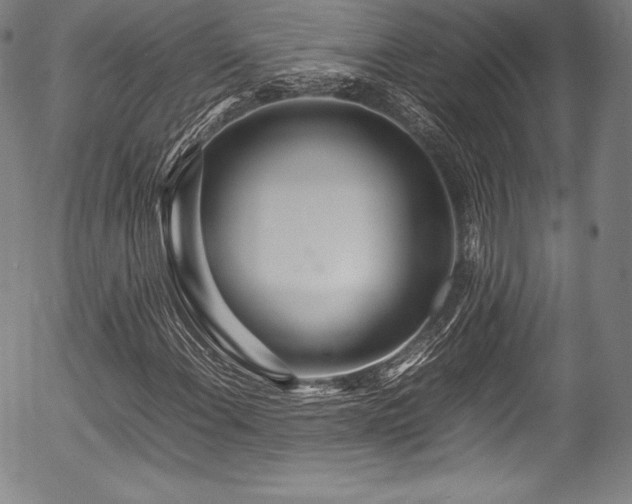 X0000054411108200508011314