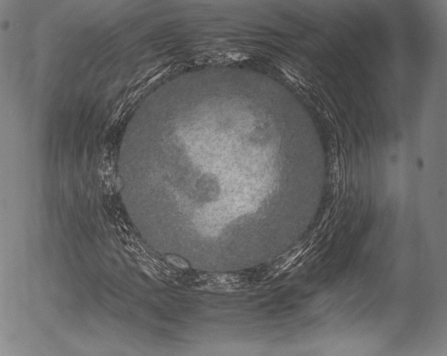 X0000054411109200508011314
