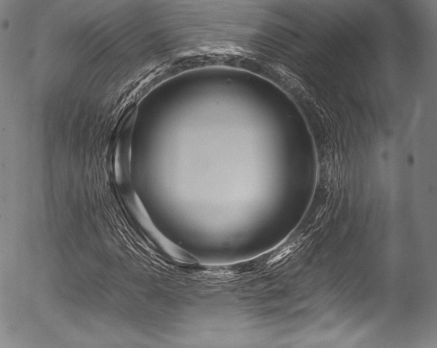 X0000054411110200508011314