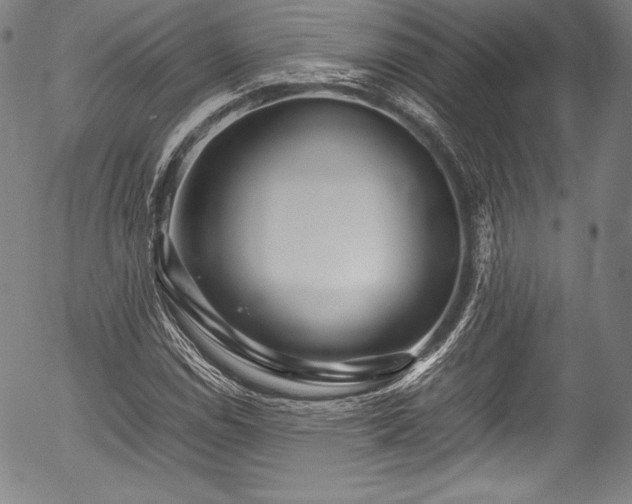 X0000054411114200508011314