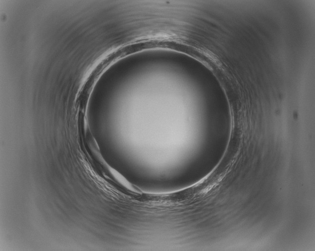 X0000054411118200508011315