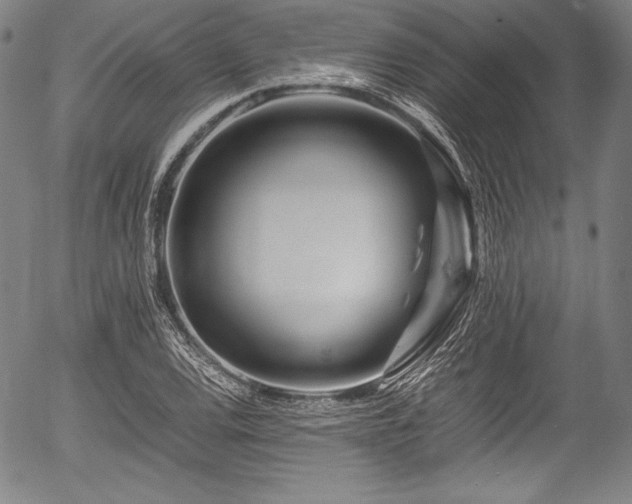 X0000054411120200508011315