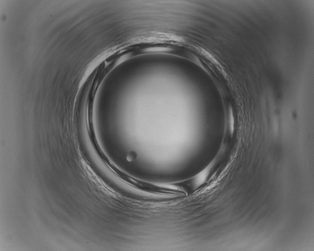 X0000054411122200508011315