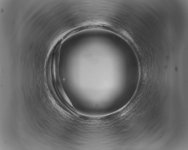 X0000054411124200508011315