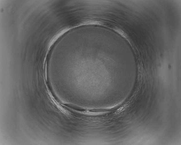 X0000054411127200508011315