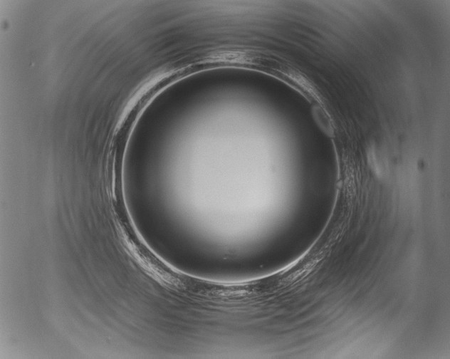 X0000054411131200508011315