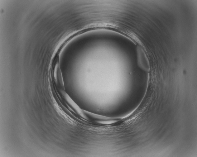 X0000054411132200508011315