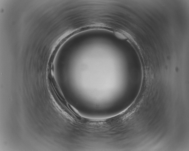 X0000054411133200508011315
