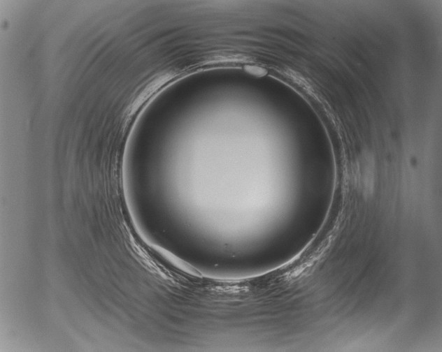 X0000054411137200508011315