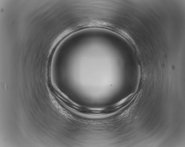 X0000054411138200508011315
