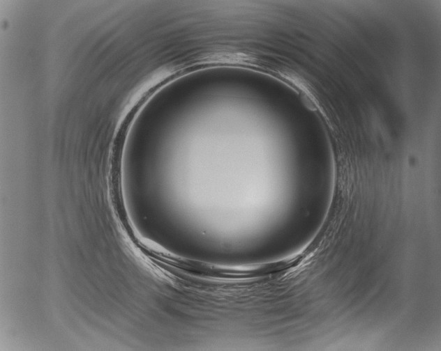 X0000054411139200508011315
